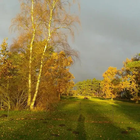 Haus Waldwiese Σπίτι διακοπών *